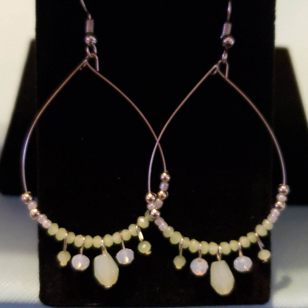 *NWOT* Earrings